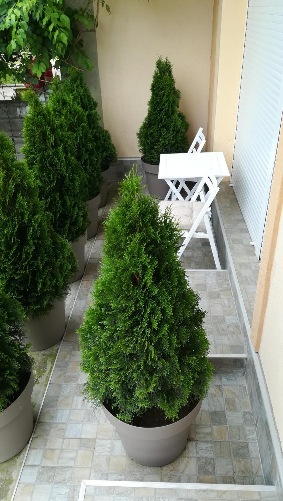 M4U Apartments Ni Eksteriør billede