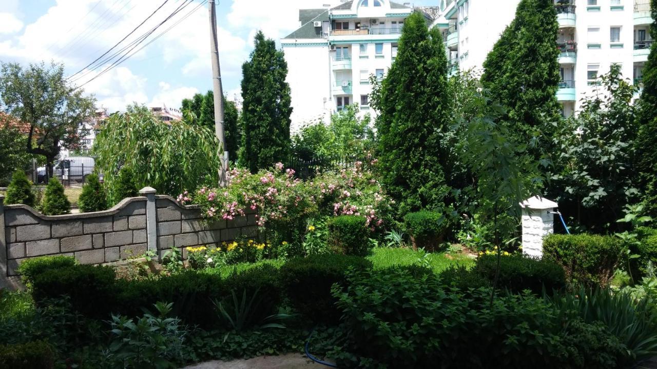 M4U Apartments Ni Eksteriør billede